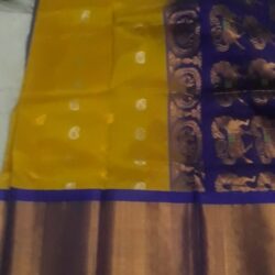 KanchiKuppdamsaree