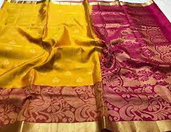 kanchi pattu saree