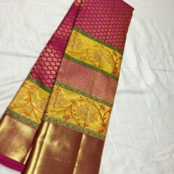 kanchipuram silk with fancy border