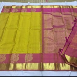 zari border kanchipuram saree