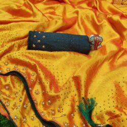 Zoya silk saree with Rich and classy Daimond work broder